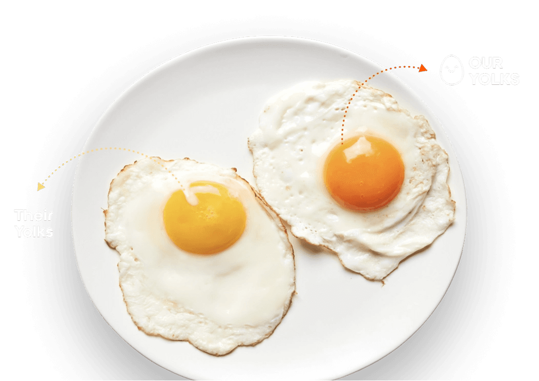 Eggs on Plate