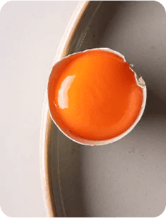 Raw Egg in Shell